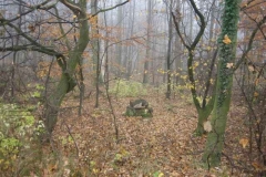 Oberolmer-Wald-Melancholische-Herbstbilder-am-27_11_2006-118