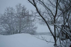 Schneetreiben-am-10_3_06-in-Menzenschwand-012