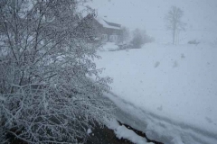 Schneetreiben-am-10_3_06-in-Menzenschwand-014