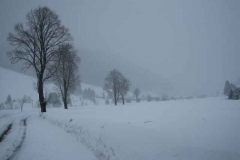 Schneetreiben-am-10_3_06-in-Menzenschwand-028