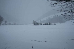 Schneetreiben-am-10_3_06-in-Menzenschwand-029