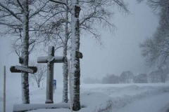 Schneetreiben-am-10_3_06-in-Menzenschwand-032