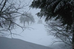 Schneetreiben-am-10_3_06-in-Menzenschwand-036
