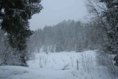 Schneetreiben-am-10_3_06-in-Menzenschwand-041