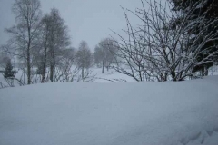Schneetreiben-am-10_3_06-in-Menzenschwand-043