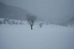 Schneetreiben-am-10_3_06-in-Menzenschwand-045