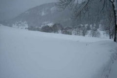 Schneetreiben-am-10_3_06-in-Menzenschwand-046