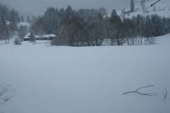 Schneetreiben-am-10_3_06-in-Menzenschwand-049