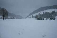 Schneetreiben-am-10_3_06-in-Menzenschwand-055