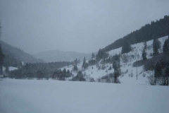 Schneetreiben-am-10_3_06-in-Menzenschwand-056