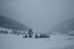 Schneetreiben-am-10_3_06-in-Menzenschwand-058