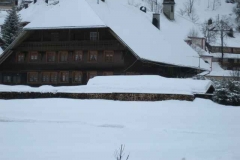Schneetreiben-am-10_3_06-in-Menzenschwand-078