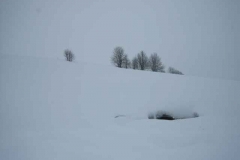 Schneetreiben-am-11_3_06-in-Menzenschwand-002