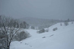 Schneetreiben-am-11_3_06-in-Menzenschwand-005