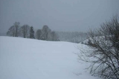 Schneetreiben-am-11_3_06-in-Menzenschwand-015