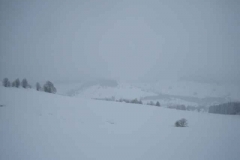 Schneetreiben-am-11_3_06-in-Menzenschwand-017
