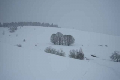 Schneetreiben-am-11_3_06-in-Menzenschwand-018