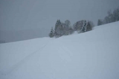 Schneetreiben-am-11_3_06-in-Menzenschwand-020