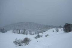 Schneetreiben-am-11_3_06-in-Menzenschwand-026