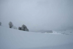Schneetreiben-am-11_3_06-in-Menzenschwand-027