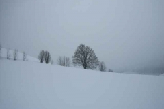 Schneetreiben-am-11_3_06-in-Menzenschwand-035