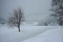 Winter-im-M_rz-06-in-Mainz-und-in-Menzenschwand-3_Tag-071